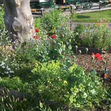 Wir lieben unsere Blumen!