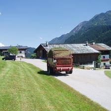 Heuernte