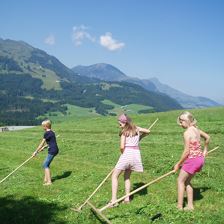 Mithilfe am Hof