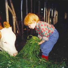 Tiere am Hof