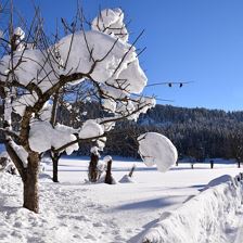 Winterlandschaft1