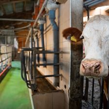 _DSC4673_Recherhof