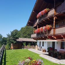 genug Rasenfläche rund ums Haus...