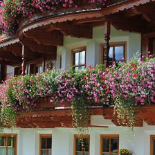 Ferienhaus Krall Sommer