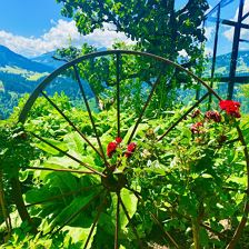 Sommer Garten Hinting (c) Sabrina Schroll