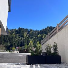 WhatsApp Image 2026-04-23 at 20.09.48