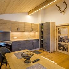 Apartment Wilder Kaiser