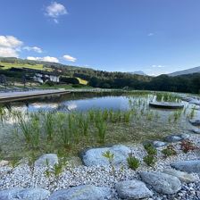 Schwimmteich