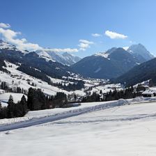 Hagauhof-Fuchs-Brigitte-Branzweg-14-Kirchberg-Auss
