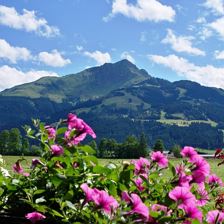 Gästehaus Kalkschmid