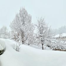 Garten im Winter