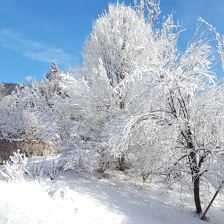 Winteridylle