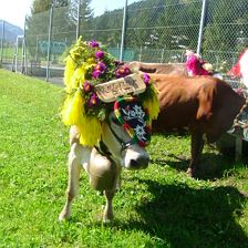 Almabtrieb im  September