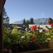 Blick auf die Terrasse