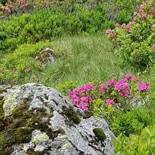 Haus Lorenz, St. Johann in Tirol