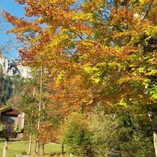 Haus Lorenz, St. Johann in Tirol