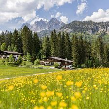 App. Kitzbühler Horn, Hausansicht