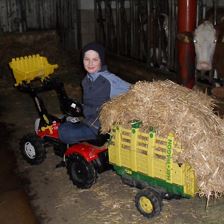 Kinder am Bauernhof II