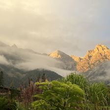 Nordseitliche Ansicht Garten
