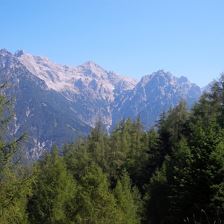 IMG_20150807_113155