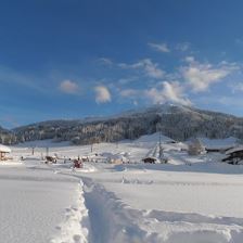 Buchensteinwandblick 2