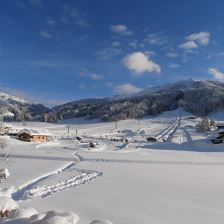 Buchensteinwandblick