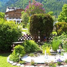 WP_20180521_14_17_01_Rich