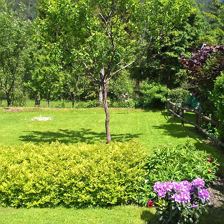 WP_20180521_14_25_09_Rich