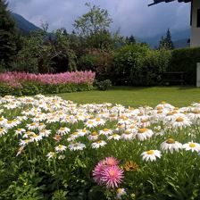 WP_20180723_15_12_00_Rich