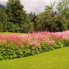 WP_20180723_15_12_28_Rich