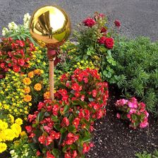 WP_20180723_15_13_57_Rich