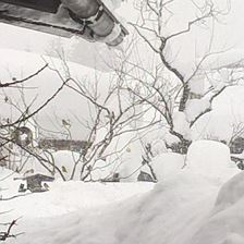 WP_20190109_15_04_34_Rich