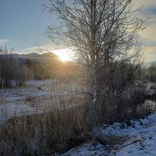 Winter
