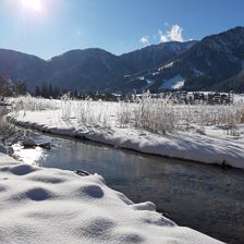 Winter