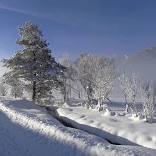Winterwanderweg