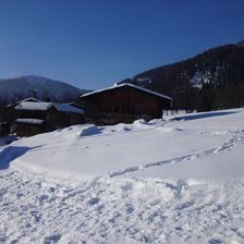 Blick Richtung Haus