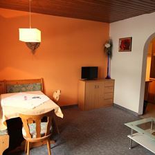 ap_steinplatte_wz