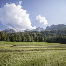 k--®defrancesco_photography_Ascherbauer-86