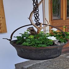 rund ums Haus Mai 25