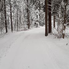 Winterwald