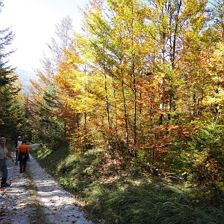 Herbstwanderung