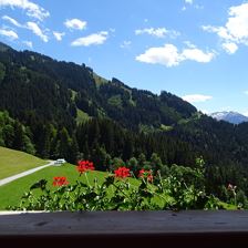 Aussicht Sommer