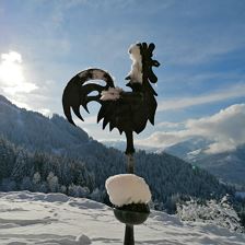 Wetterhahn