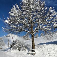 Winter im Brixental