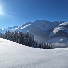 IMG-20240109-WA0016