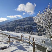 IMG_20221212_112147