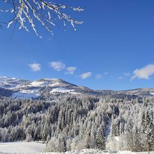 IMG_20221212_112401