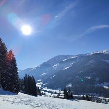 IMG_20230129_125553