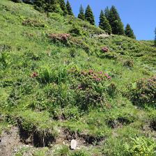 IMG_20230625_133646