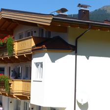 Blick Hohe Salve